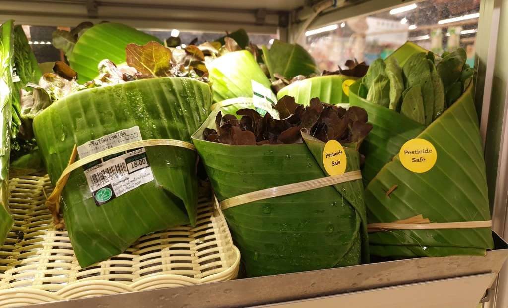 banana leaf packaging | cardboard packaging |  packaging supplies |  packaging types |  packaging companies |  biodegradable packaging