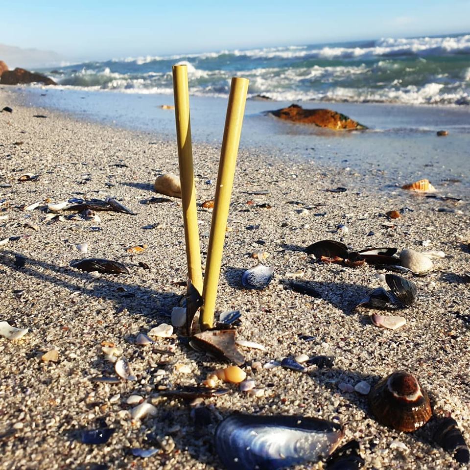 bamboo products south africa | bamboo cutlery | bamboo straws | bamboo cutlery | bamboo toothbrushes