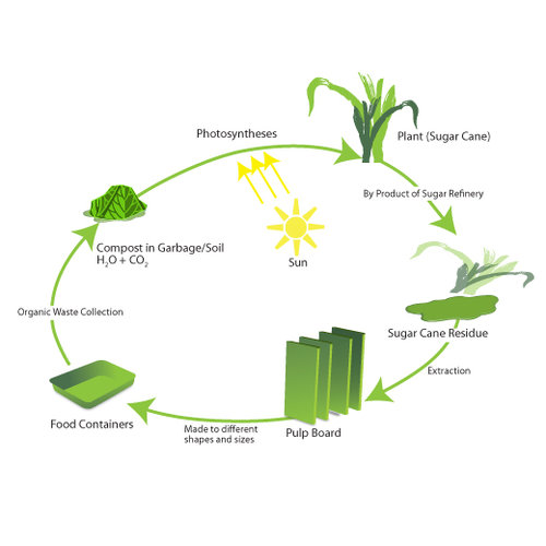 Nature pack | eco friendly packaging | biodegradable packaging | compostable packaging | packaging manufacturers