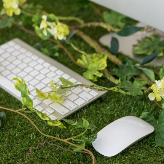 online shop online shopping online shopping south africa online shop in south africa online shop south africa online shopping sites online shopping sites south africa best online shop south africa sustainable environment sustainable living