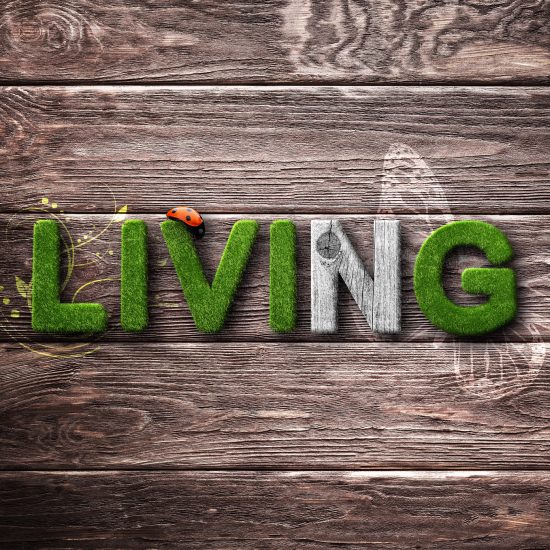 eco living | eco living south africa | tips for eco friendly living | eco living products | green living | green living south africa | sustainable living
